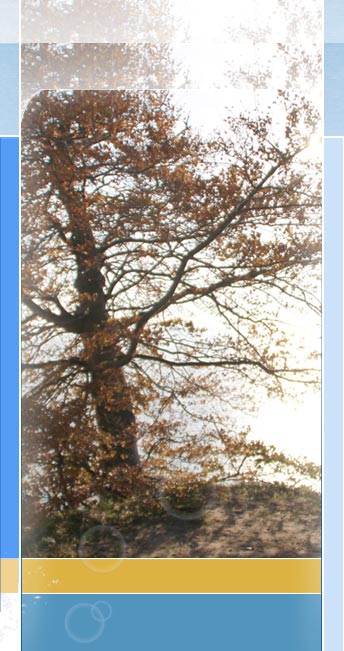 wassersportzentrum barth