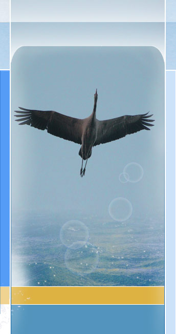 wassersportzentrum barth